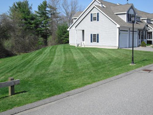 residential and commercial lawn maintenance