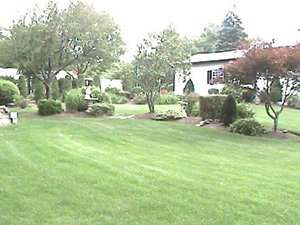 residential lawn maintenance