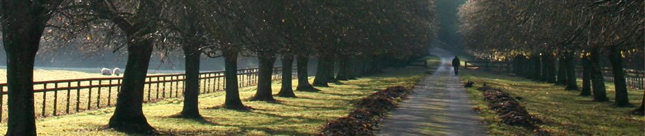 bjdinsmorelandscaping.com